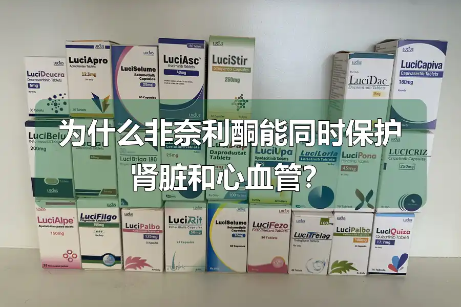 为什么非奈利酮能同时保护肾脏和心血管？