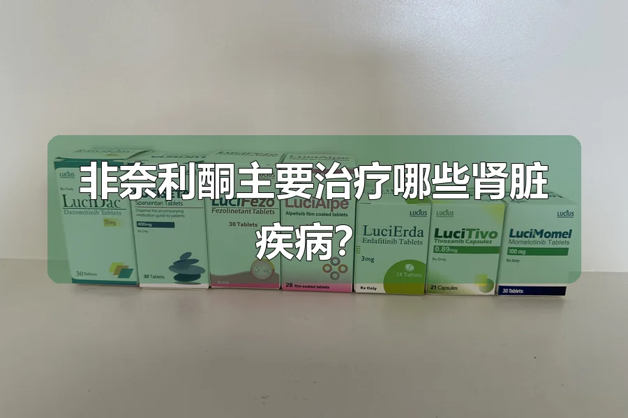 非奈利酮主要治疗哪些肾脏疾病?