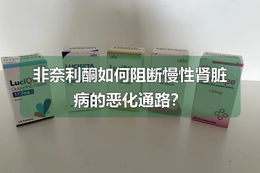 非奈利酮如何阻断慢性肾脏病的恶化通路？